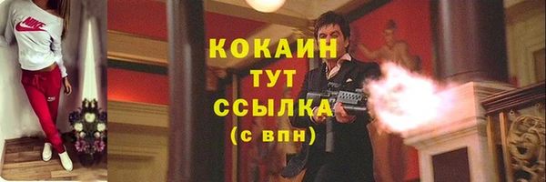 apvp Алексин