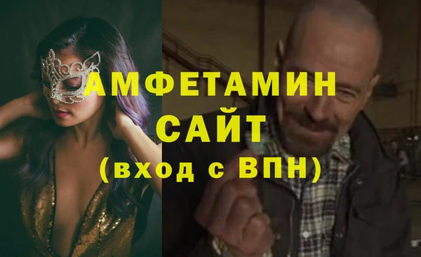 гашик Алексеевка