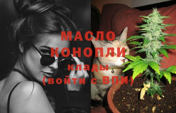 гашик Алексеевка
