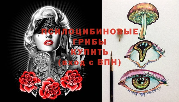 apvp Алексин