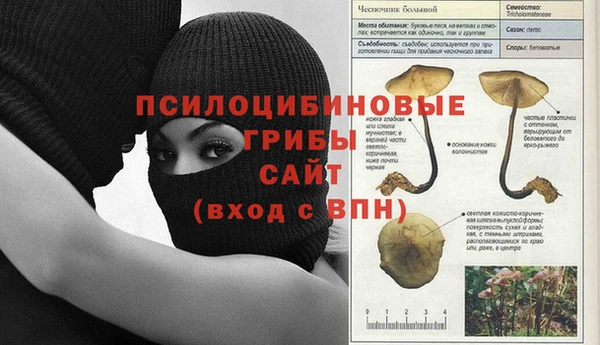 мескалин Нязепетровск