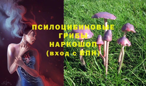 apvp Алексин