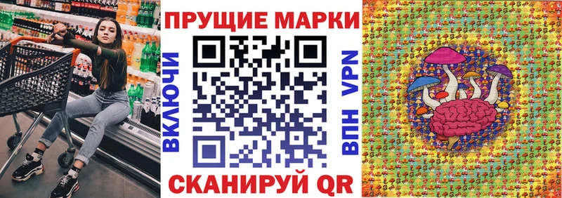 Марки N-bome 1,8мг  где купить наркоту  Кинель 