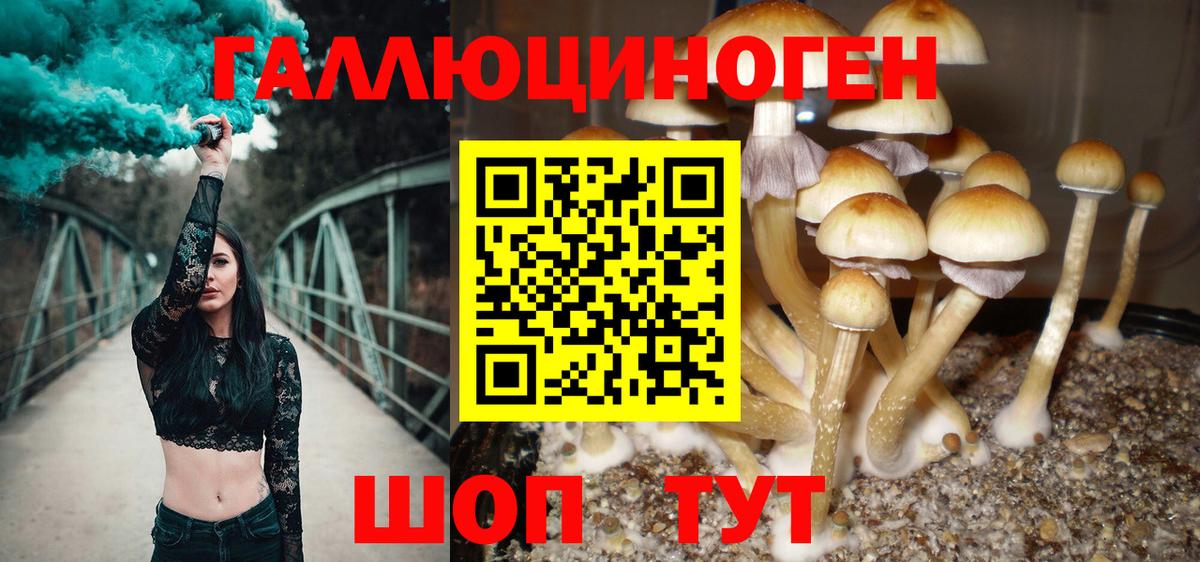 Псилоцибиновые грибы Magic Shrooms Кинель