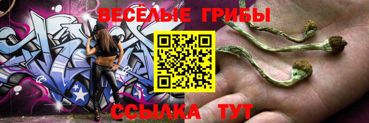 Галлюциногенные грибы ЛСД  Вход с VPN  Псилоцибиновые грибы мухоморы  цена   Кинель 