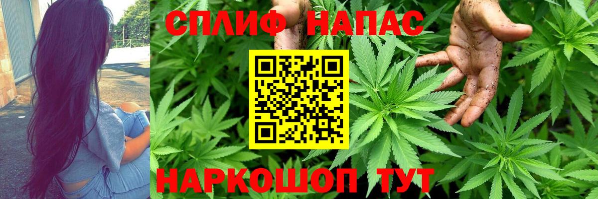 Кинель  Конопля White Widow  Вход с VPN  Марихуана MAZAR  Бошки Шишки SATIVA & INDICA 